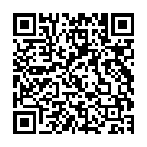 她只要输了在我的指示下赌场就会不断的借钱给她继续赌下去二维码生成