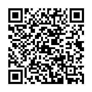 她可不希望云擎再跟上辈子一样被人说成杀人狂魔二维码生成