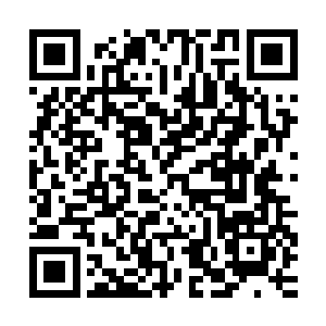 她可不想在大山洞里当着这么多陌生的面上被龙战亲的手软脚软二维码生成