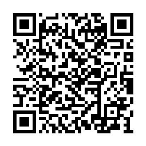 她可不想给冷家人第一印象就是摆谱散漫的性子二维码生成