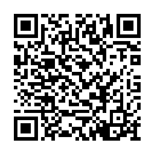 她可不觉得自己能逆袭诸多万年前的大帝级人物二维码生成