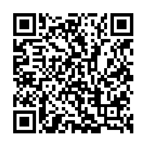 她可以在十招之内判定一个人的武术水平和弱点二维码生成