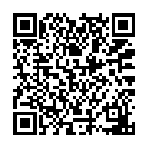 她可以清晰的感应到这些人对自己强大的怨念憎恨二维码生成