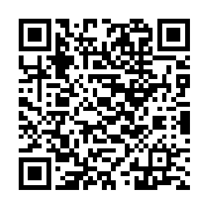 她可以看到其他魔池里面似乎都有几个身影若隐若现二维码生成