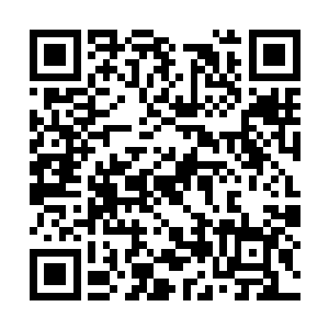 她可是全程跟着廖辽参与了她的专辑筹备和制作的二维码生成