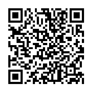 她可是清楚地记得兰百灵是仙皇后期巅峰的修为二维码生成