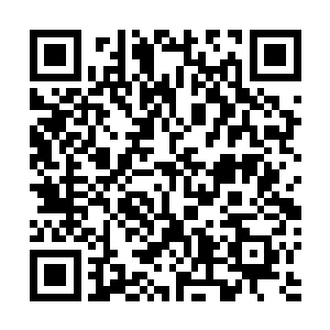 她可没有少被东方青妍灌输着二十一世纪最为先进的概念二维码生成