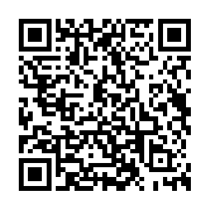 她可能并不会为原主折在那样一个人身上而惋惜二维码生成