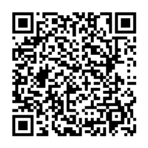 她吓得闭门不出难道还以为我们楚家会出九天玄仙初期巅峰的修士欺负她二维码生成