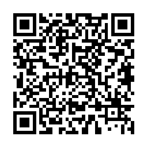 她和一头魔鹰进行决斗都没有办法占据任何的便宜二维码生成