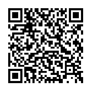 她和东方夏雨这个疯妮子岿然不愧是双胞胎姐妹二维码生成