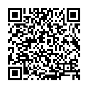 她和图拉扬的确都是大公指定的几个继承人之一二维码生成