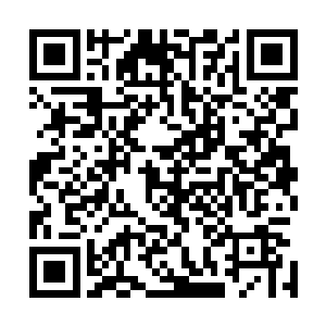 她和安隽煌带着两个小东西从酒店搬到了纽约近郊一处别墅二维码生成