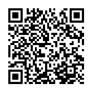 她和族长哥哥吵架是因为族长哥哥不让她嫁给狐狸二维码生成