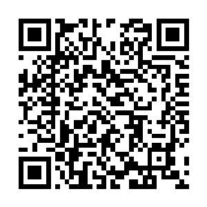 她和王如梦看不到容器上深入薛紫夜身体各部分的脉络二维码生成