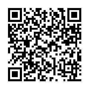 她和莫小鱼还有个和一般的男女关系不一样的地方二维码生成