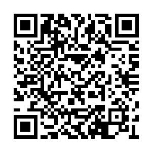 她和蒙牙族的长老并没有讨论出让他满意的答复二维码生成