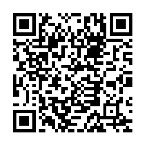 她哥哥在她心目中也没洪涛在韩雪和谭晶的心目中那么不可战胜二维码生成