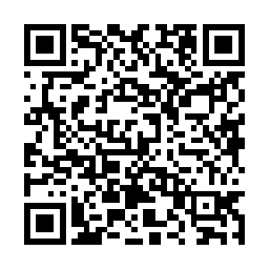 她唯一的任务就是那些小苗苗浇水施肥除杂草之类二维码生成