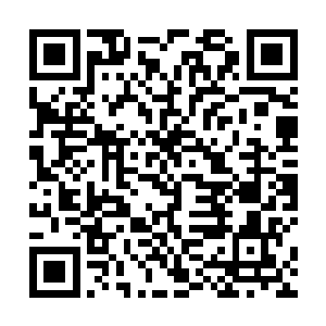 她回头瞧了瞧地上那本已经被生生砸坏的奏折挑了挑眉二维码生成