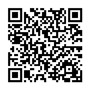 她在他面前终于开始慢慢褪掉一层层包装好的外壳二维码生成