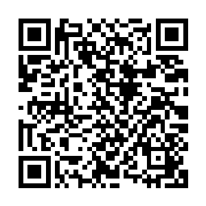 她在大和国除妖的时候曾用这招同一时间内将两只六品妖兽斩死二维码生成