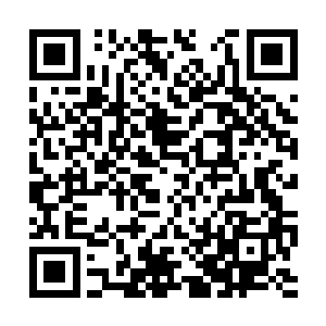 她在归途之上遇到了这位号称独角兽家族的继承人二维码生成