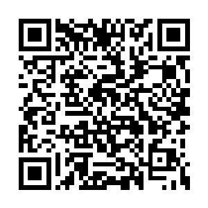 她在心里默默想象上方的衣服和血肉都是透明的二维码生成