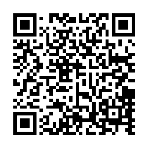 她在灰烬平原和普森位面交接处构建了一个大型物资传送阵二维码生成