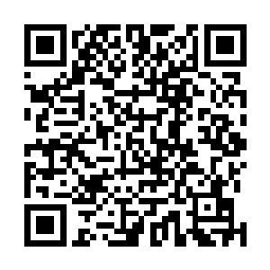 她在紫宸殿里给光昭帝抚琴和出谋划策的情景便历历在目二维码生成