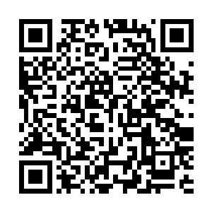 她在苏婧语在她耳边提到罗佳华的时候便明白了全部的事情二维码生成