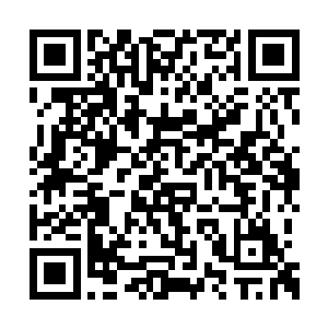 她在身后又一阵玻璃破碎和窗框断裂的刺耳声中二维码生成