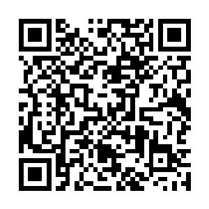 她在车子开了不够十秒后便手忙脚乱地系过安全带二维码生成