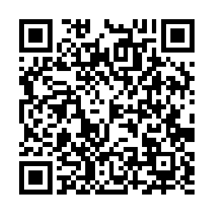 她在这三个大乘期修士的眼中已经不是蝼蚁般的存在二维码生成