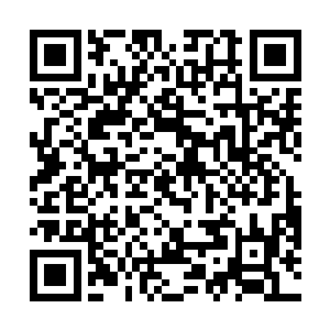 她在这个剧情任务中总共获得了将近八百点的灵魂之力二维码生成