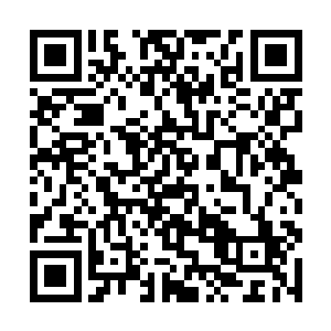 她在这些人眼中看到了还未被现实摧残的生机与活力二维码生成