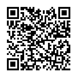 她在那里纠缠牵制那只圣级大圆满后期巅峰混沌兽二维码生成