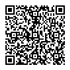 她在闻人家族或者在闻人家族旗下的集团公司里都是一言九鼎绝不容人忤逆的强势人物二维码生成