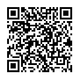 她坚信只要自己的仙界能够轰击在那只域外天魔的身上二维码生成