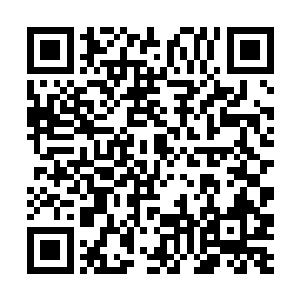 她大可以子啊叶秋昏迷的时候把叶秋送回到玄道门中二维码生成