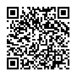 她大概从来没有在这种情况下呗那么多人注视过二维码生成