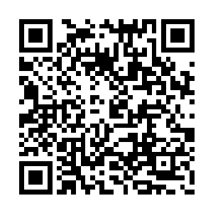 她大概知道君白芬芳他们和宴维的爸妈是认识的二维码生成