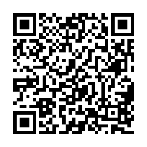 她如果能懂的更多可能就不会像现在这么被动了二维码生成