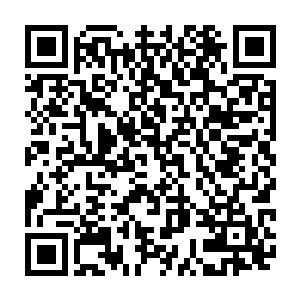 她娘敏夫人当时拿着那副画像嘲笑着说跟她娘一样长得倾国倾城又管什么二维码生成