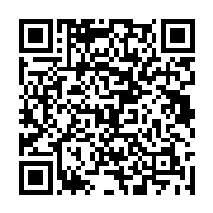 她完全不知道聂离和父亲之间到底发生了什么事情二维码生成