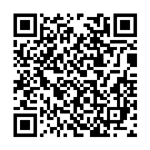 她完全具备了领导国际海洋协会亚洲区的一切能力二维码生成