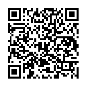 她完全可以将所有的代价都推到开启通道的人身上二维码生成