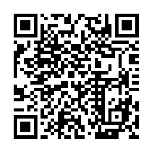 她完全无法想像姚显如果在这大顺朝给她找个奶奶二维码生成