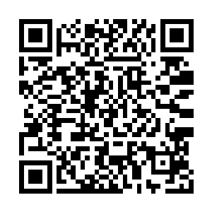 她完全没有想到眼前这个年轻女子不仅修为强大二维码生成