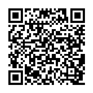 她实在是很难想象这手链夏天究竟是从哪弄来的二维码生成